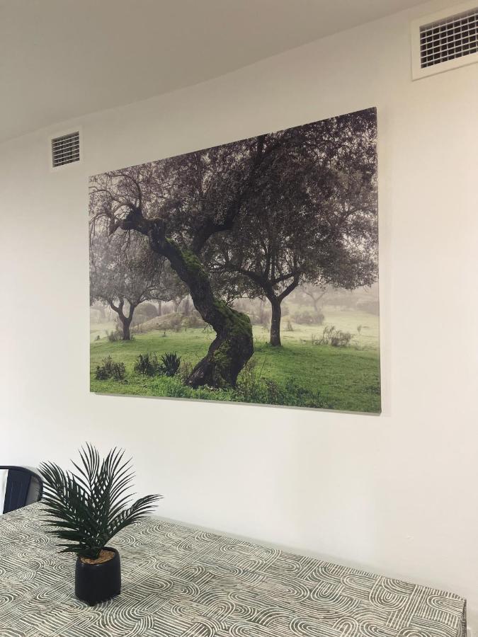Casa Rural "El Canuelo" Aljucén Dış mekan fotoğraf